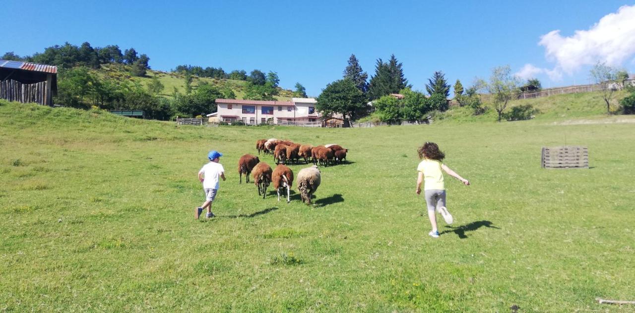 Azienda Agrituristica Cascina La Botta Dego Bagian luar foto