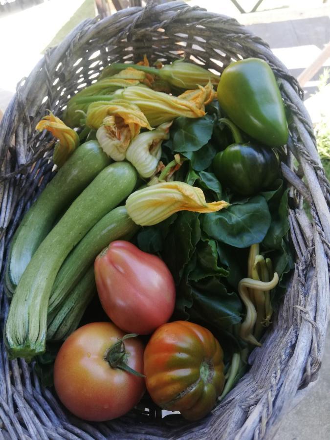 Azienda Agrituristica Cascina La Botta Dego Bagian luar foto