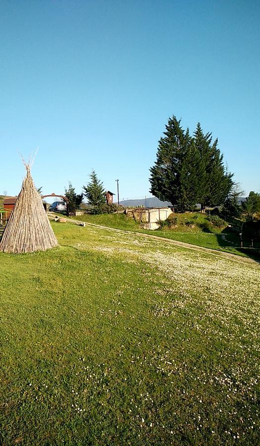Azienda Agrituristica Cascina La Botta Dego Bagian luar foto