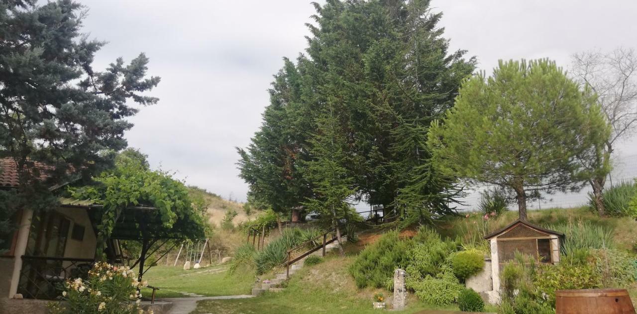 Azienda Agrituristica Cascina La Botta Dego Bagian luar foto